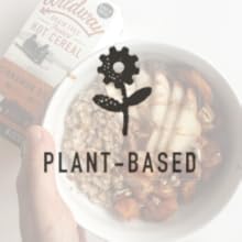 Plant based protein