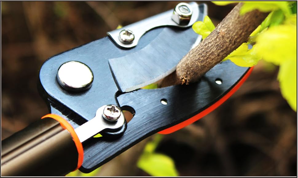 asunflower 3.9Ft Long Reach Tree Pruner, Cut and Hold