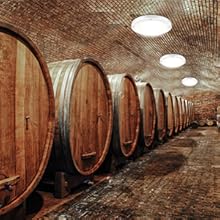 Youtob Motion Sensor LED Ceiling Light, 100 Watt Equivalent, for Indoor/Outdoor, Stairs, Closet Room, Basement, Hallway [Latest Upgrade Version]