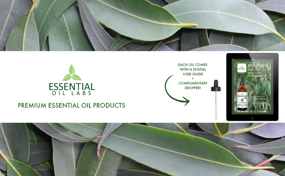 Eucalyptus Oil Highest Quality Therapeutic Grade Backed