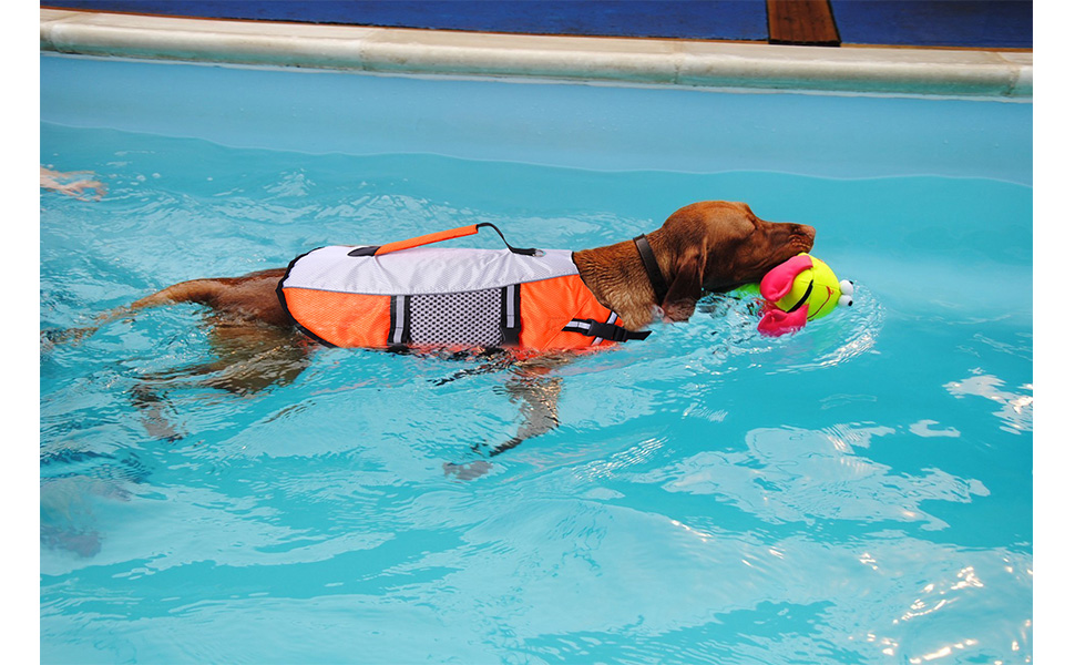 Dog Life Vest Jacket for Swimming kayaking boating