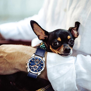 Men's business watch