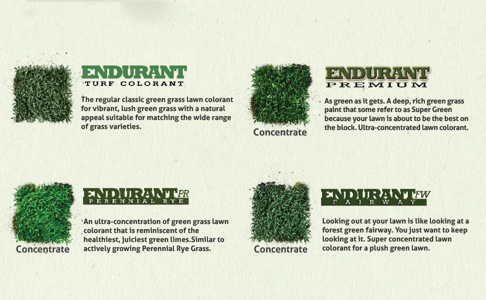 Endurant Lawn Paint Concentrated Green Grass Paint for Lawn and Fairway