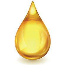 Life-Flo Pure Apricot Oil Rich Moisturizer Face Body Massage Nourishes Strengthens Soothes 16oz