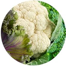 Emerita DIM Formula with Calcium D-Glucarate Women Balance Nutritive Support 60 Soy-Free VCaps