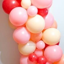 Partywoo Blush Balloons 100 Pcs 10 Inch For Party Wedding