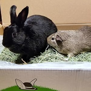 Small manufacture image 5