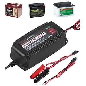 Amazon.com: 12V 5Amp Portable Smart Battery Charger, IP65 Waterproof