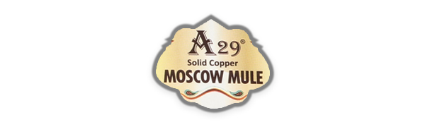 A29 logo