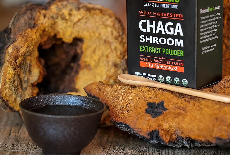 Wild Chaga Mushroom Extract Powder with White Birch Betulin