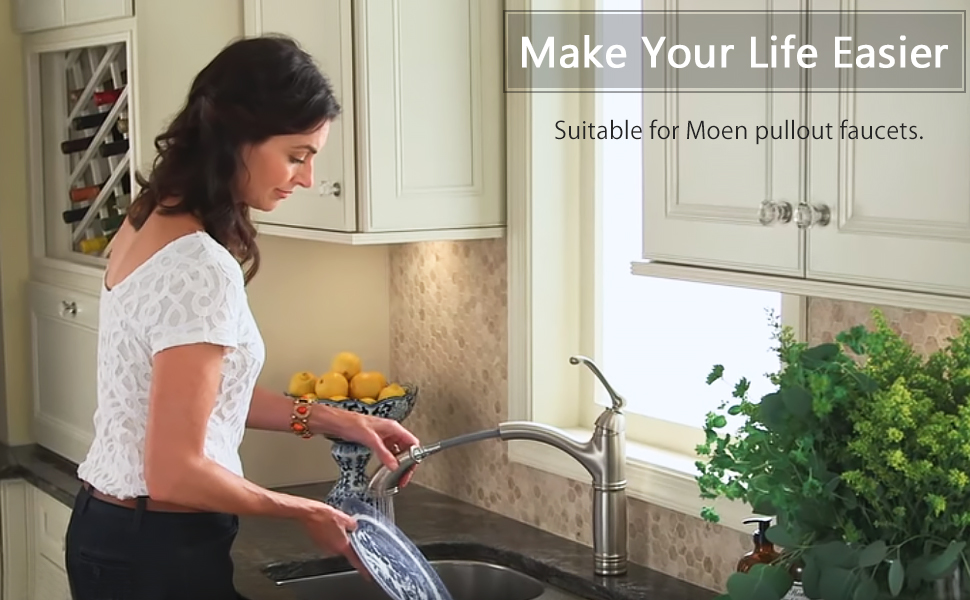 Replacement Hose kit for Moen Kitchen Faucets (Pullout 159560)