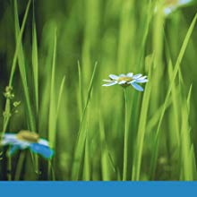 Small manufacture image 8