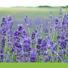 Small manufacture image 10