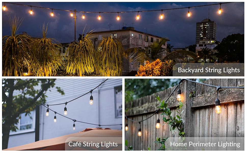 S14 Replacement Light Bulb for Backyard String Lights, for Cafe and Home Perimeter Lighting