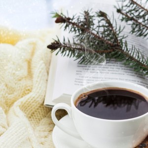 12-Pack Gift Holiday Coffee Pack