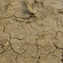 Small manufacture image 12