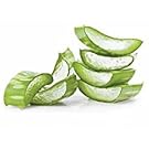 aloe moisturizing body wash