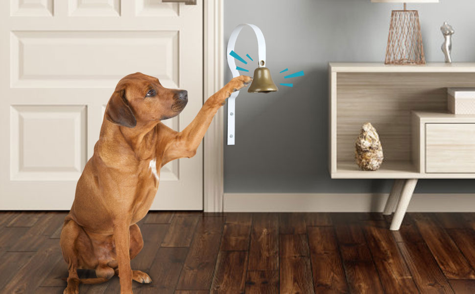 STYDDI Dog Training Bell, Metal Wall Mounted Doggy