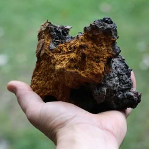 Small manufacture image 6