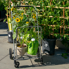 Small manufacture image 5