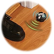 SpyX Micro Motion Alarm