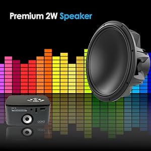 Premium 2W Speaker