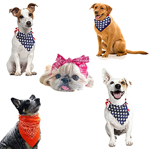 bandanas for pets