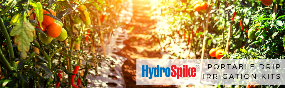 Small manufacture image 6