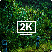 2K 1440P QHD Sony Starvis video quality