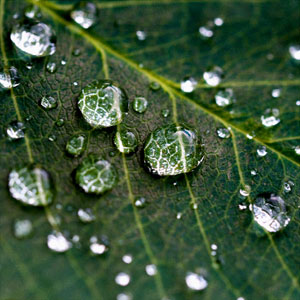 Small manufacture image 7