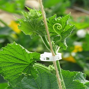 Small manufacture image 6