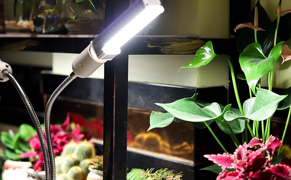 UV Grow Light for Indoor Plants by GOZYE丨Simulated