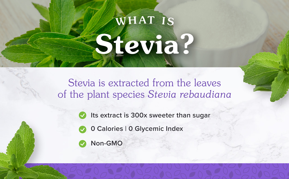 What is Stevia?