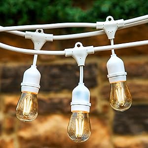 Brightech Ambience Pro - Waterproof LED Outdoor String Lights - Hanging 2W Vintage Edison Bulbs