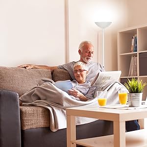 Brightech SkyLite - Bright LED Torchiere Floor Lamp for Offices