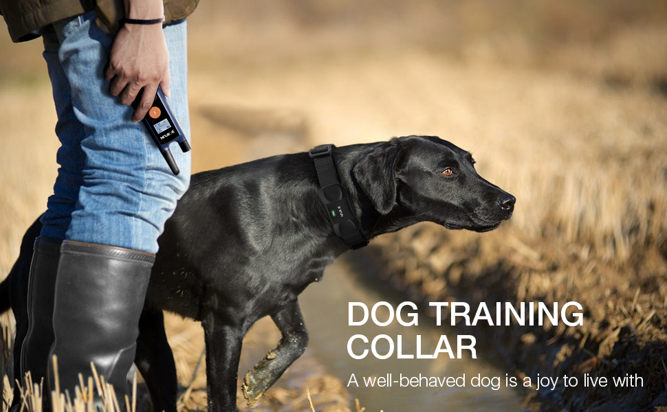 Dog Training Collar w/Remote for Small Medium Large Dogs, 3