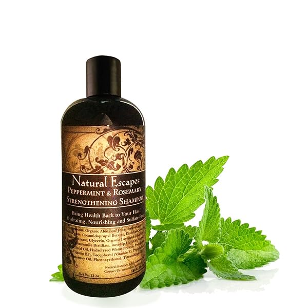 Peppermint & Rosemary Strengthening Shampoo Organic