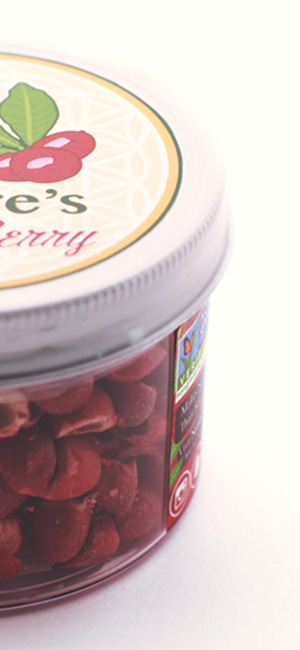 Nordic locally sourced Paleo paleolithic caveman stone-age curb fats Obesity heart disease diabetes