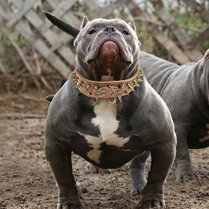 Small manufacture image 8