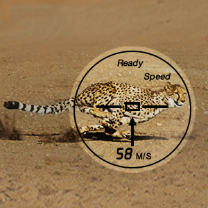 Small manufacture image 5