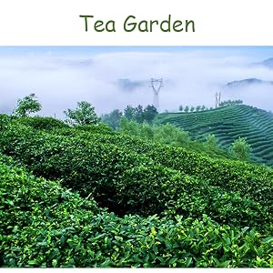 Small manufacture image 6