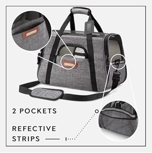 Amazon Com Premium Airline Approved Pet Carrier Under