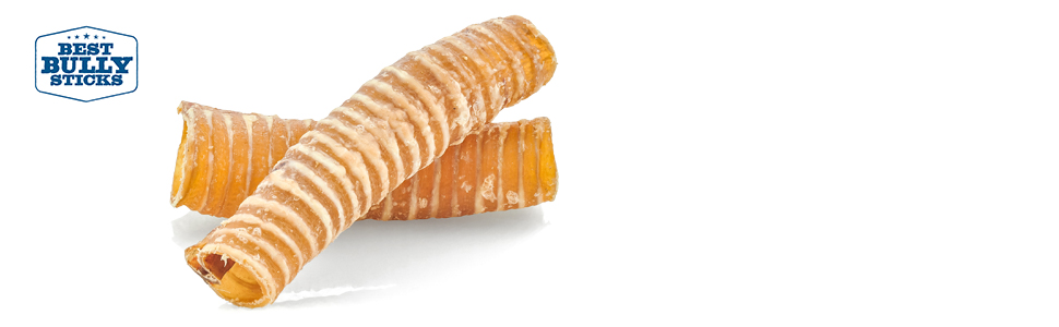best bully sticks all natural healthy snack treat dog trachea chews dental health 3 6 12 inch pup