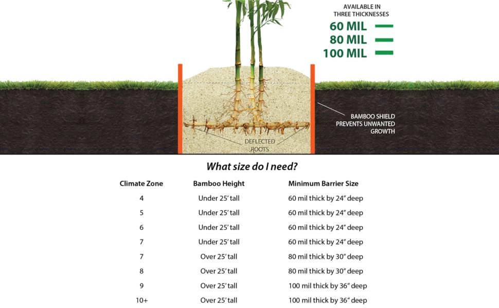 Bamboo Shield 50 Foot Long x 24 inch x 60 mil Bamboo Root