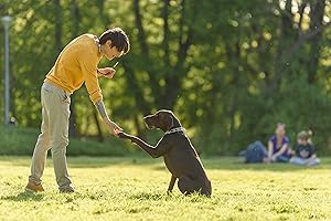 Small manufacture image 6