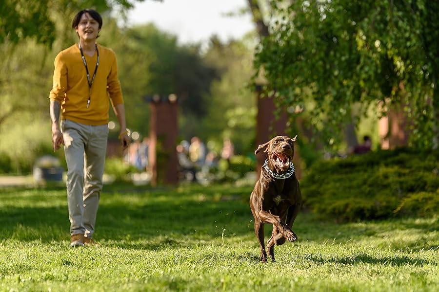 Small manufacture image 1