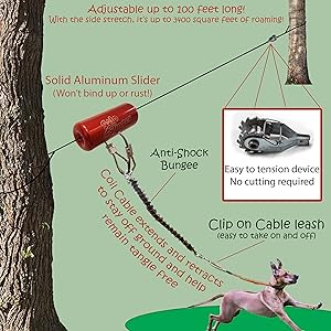 Tumbo trolley dog containment system Clearance