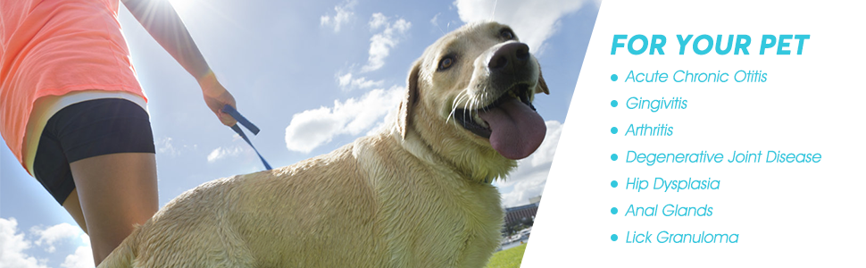 safe for pet animals