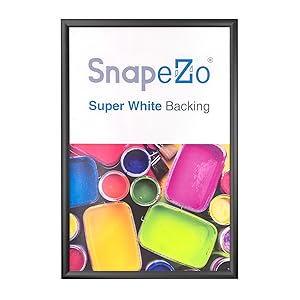 snapframes