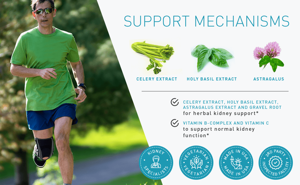 Alerna Kidney Support (3 Bottles), Supports Normal Kidney